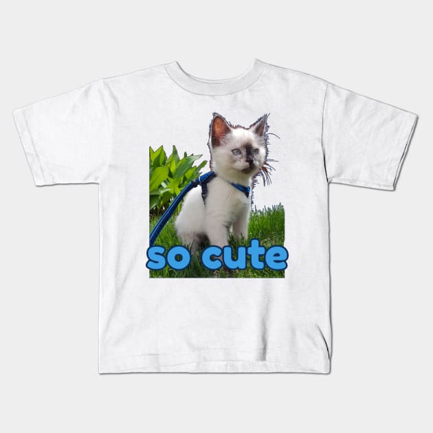 burmese little kitten, tortie Kids T-Shirt by Kaczmania